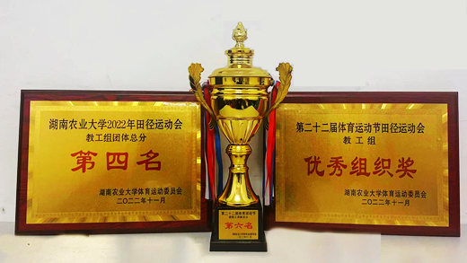 教工团队荣誉.png