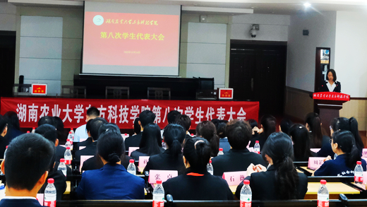 大会现场.jpg